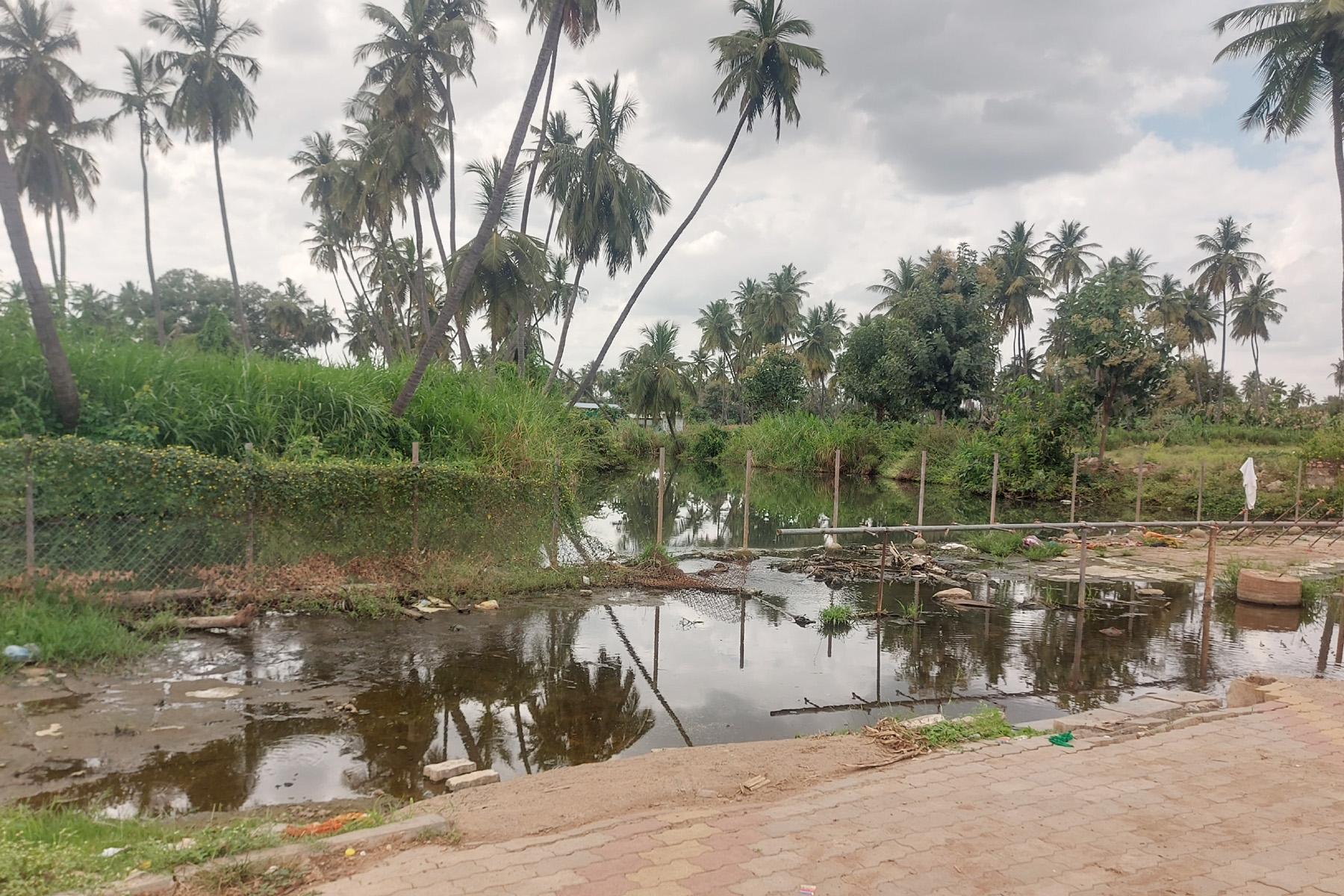 ಬನಶಂಕರಿ ದೇವಾಲಯದ ಪಕ್ಕದಲ್ಲಿ ಕಪ್ಪು ನೀರಿನಿಂದ ಹರಿಯುತ್ತಿರುವ ಸರಸ್ವತಿ ಹಳ್ಳ