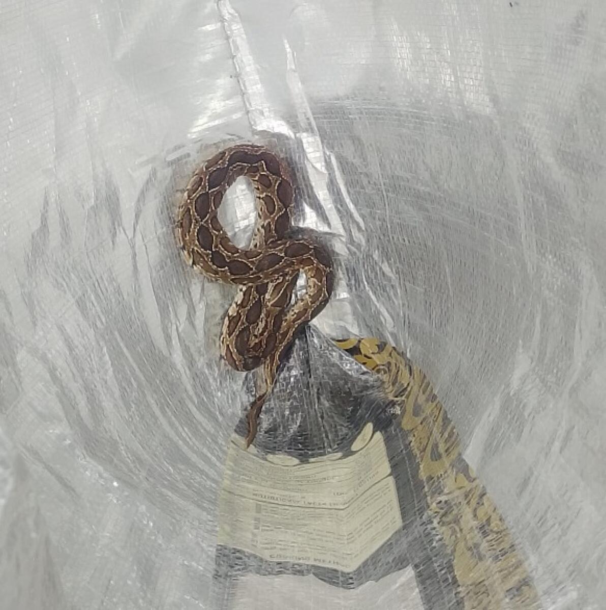 <div class="paragraphs"><p>ಚಿತ್ರ:ಪ್ರಜಾವಾಣಿ</p></div>