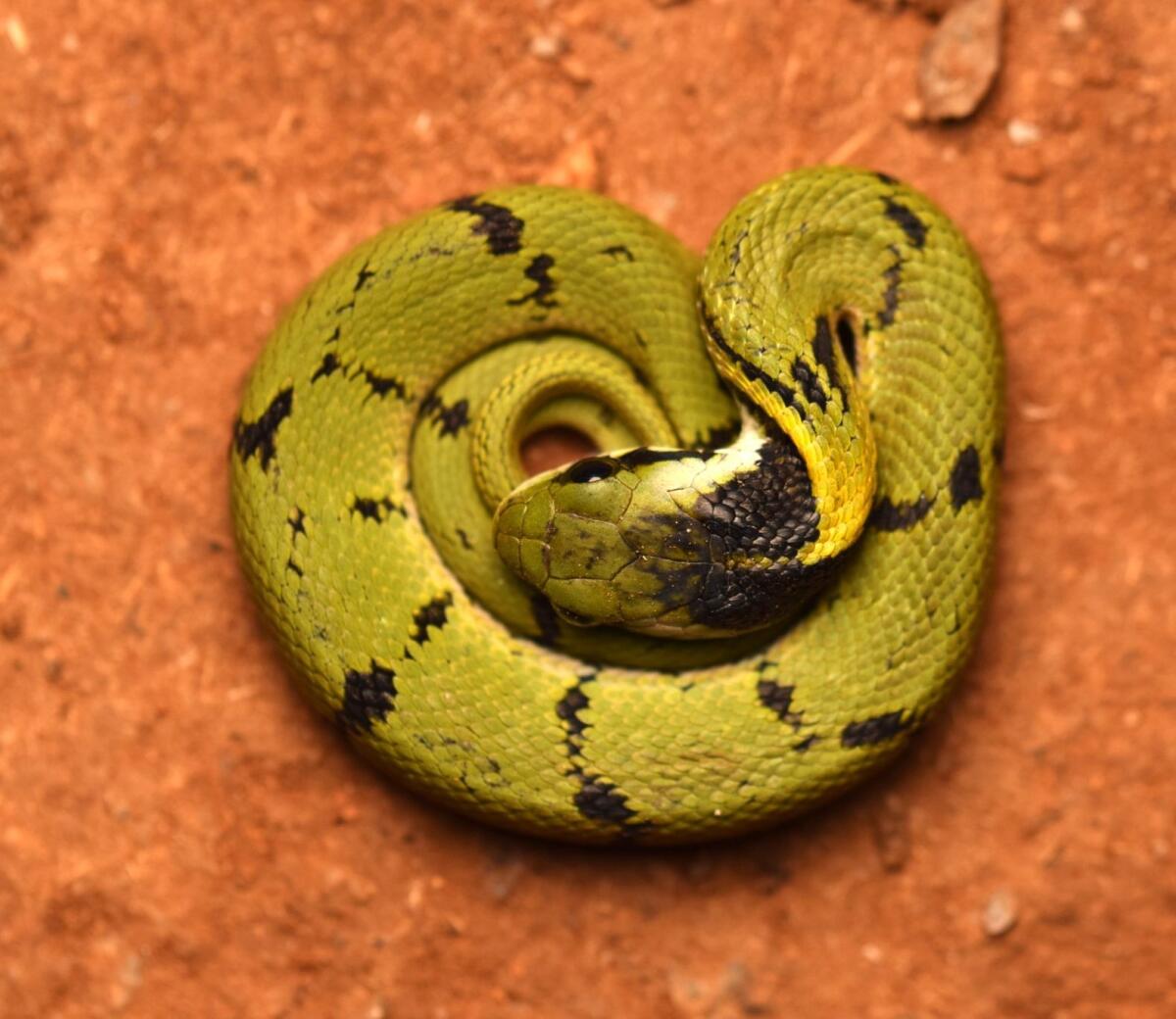 <div class="paragraphs"><p>ಚಿತ್ರ: ಪ್ರಜಾವಾಣಿ</p></div>