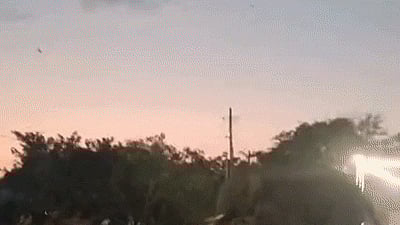 ಗುಂಡ್ಲುಪೇಟೆ | ಹೆಜ್ಜೆನು ಕಡಿತ: ದಿಕ್ಕಾಪಾಲಾಗಿ ಓಡಿದ ಸಾಕಾನೆ, ಜನರಲ್ಲಿ ಭೀತಿ