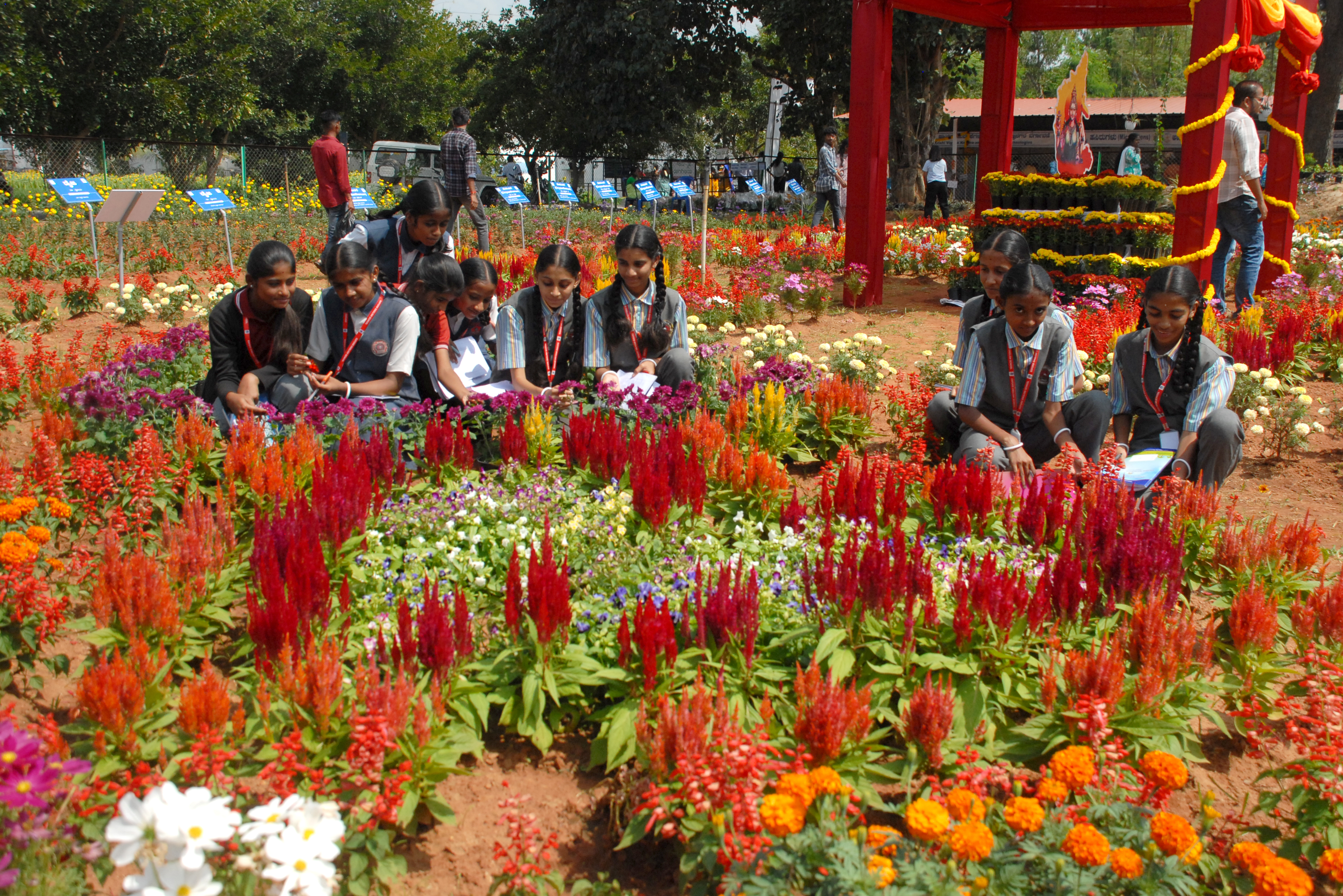 ಹೂವಿನ ತಾಕಿನಲ್ಲಿ ಕಾಲೇಜು ವಿದ್ಯಾರ್ಥಿನಿಯರು