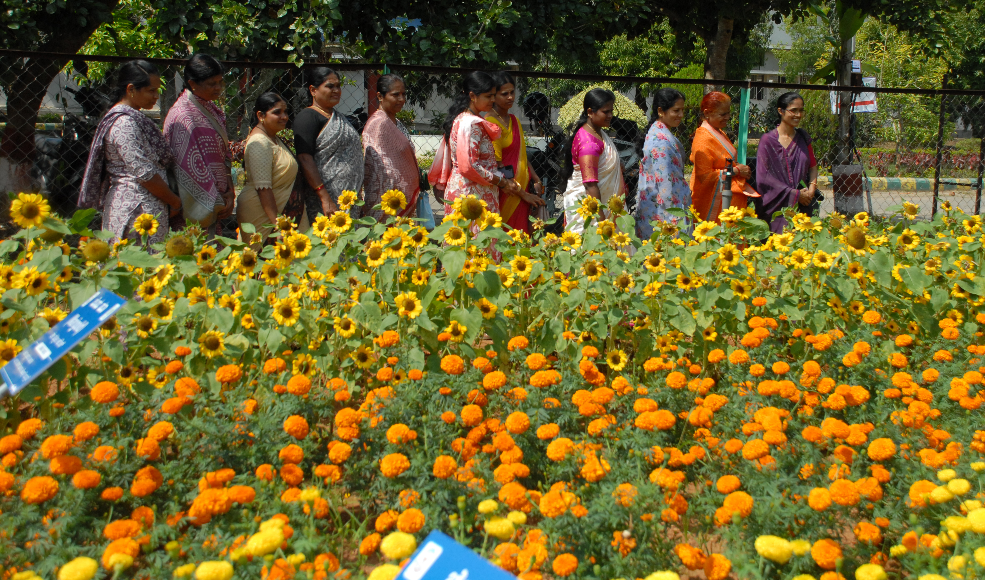 ಹೂವಿನ ತಾಕು ವೀಕ್ಷಿಸಿದ ಮಹಿಳೆಯರು 