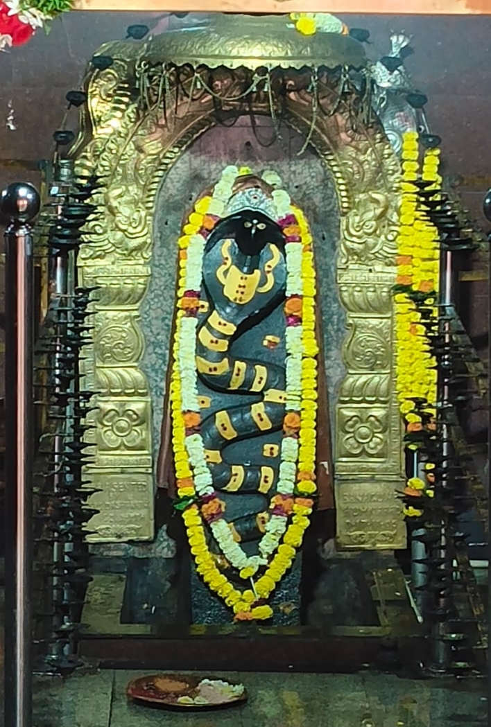 ಸೀಮಿನಾಗನಾಥೇಶ್ವರ ರಥೋತ್ಸವ