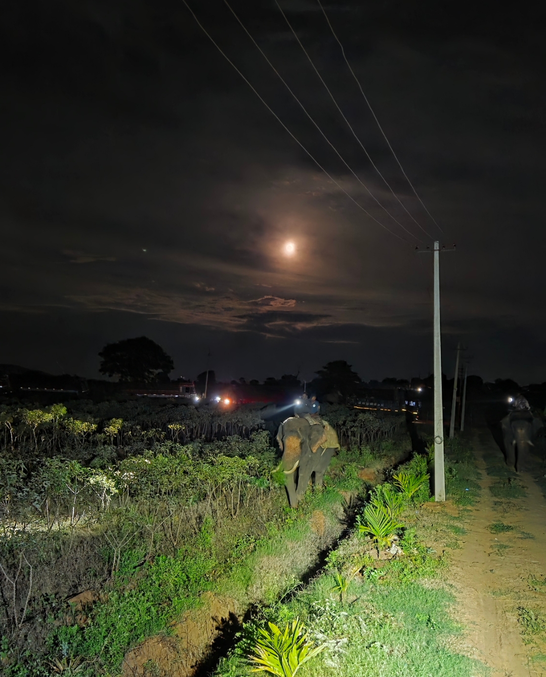 ಆನೆ ಮೂಲಕ ಶುಕ್ರವಾರ ರಾತ್ರಿ ಕೂಂಬಿಂಗ್‌ ನಡೆಸಲಾಯಿತು