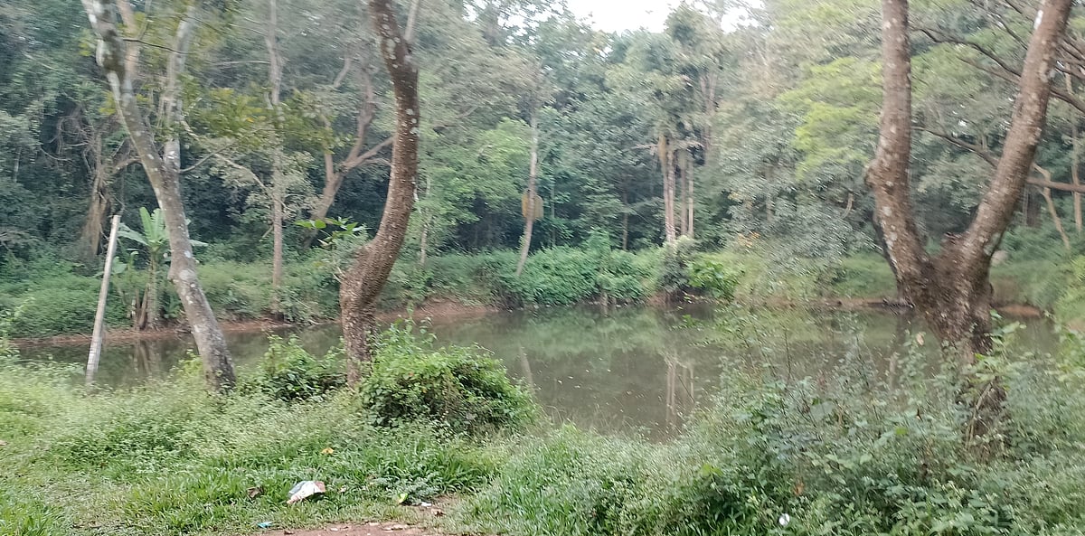 ಆನೆಹೊಂಡ: ಕೆರೆ ಪರಿಸರದಲ್ಲಿ ತ್ಯಾಜ್ಯದ ರಾಶಿ; ಮುಕ್ತಿ ಎಂದು ?