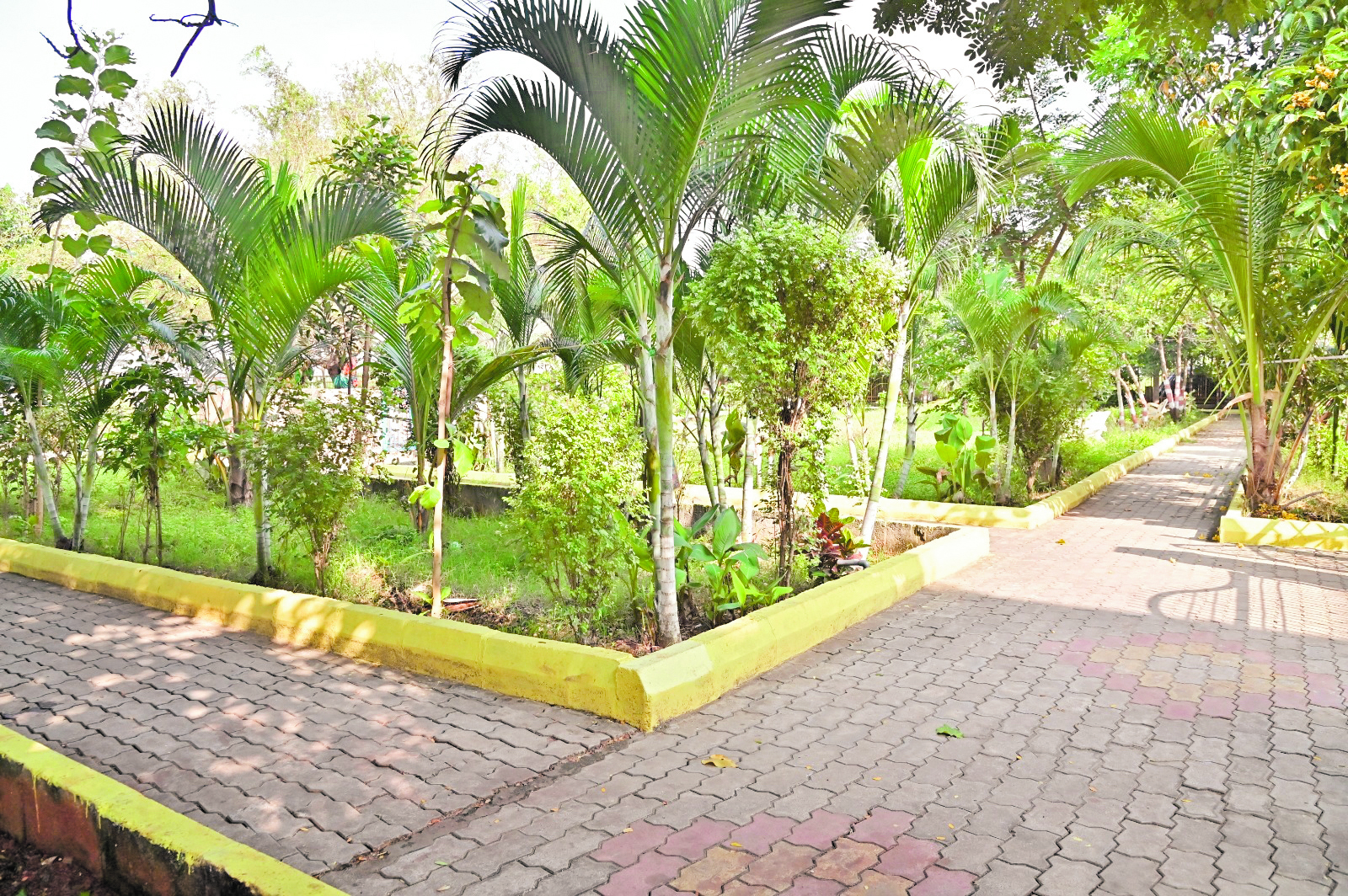 ‘ಮಹರ್ಷಿ ವಾಲ್ಮೀಕಿ ಉದ್ಯಾನ’ದಲ್ಲಿ ನಳನಳಿಸುವ ವಿವಿಧ ಪ್ರಬೇಧಗಳ ಗಿಡಗಳು  