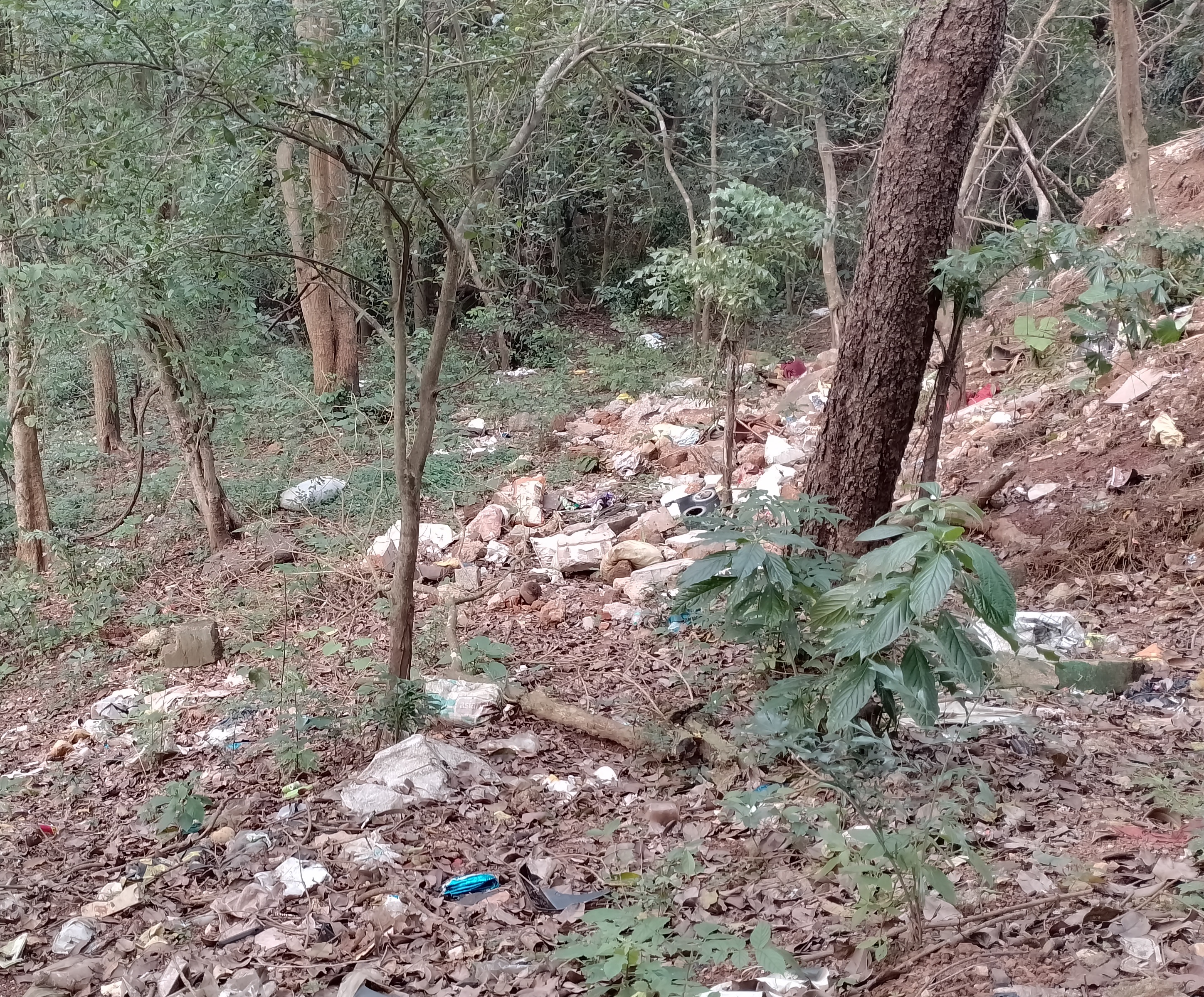 ಆನೆಹೊಂಡ ಕೆರೆ ಪರಿಸರದಲ್ಲಿ ತ್ಯಾಜ್ಯದ ರಾಶಿ 