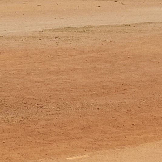 ಕಡಬ: ಅರಣ್ಯ, ಕಂದಾಯ ಇಲಾಖೆಯಿಂದ ಜಂಟಿ ಸರ್ವೆ ನಾಳೆಯಿಂದ