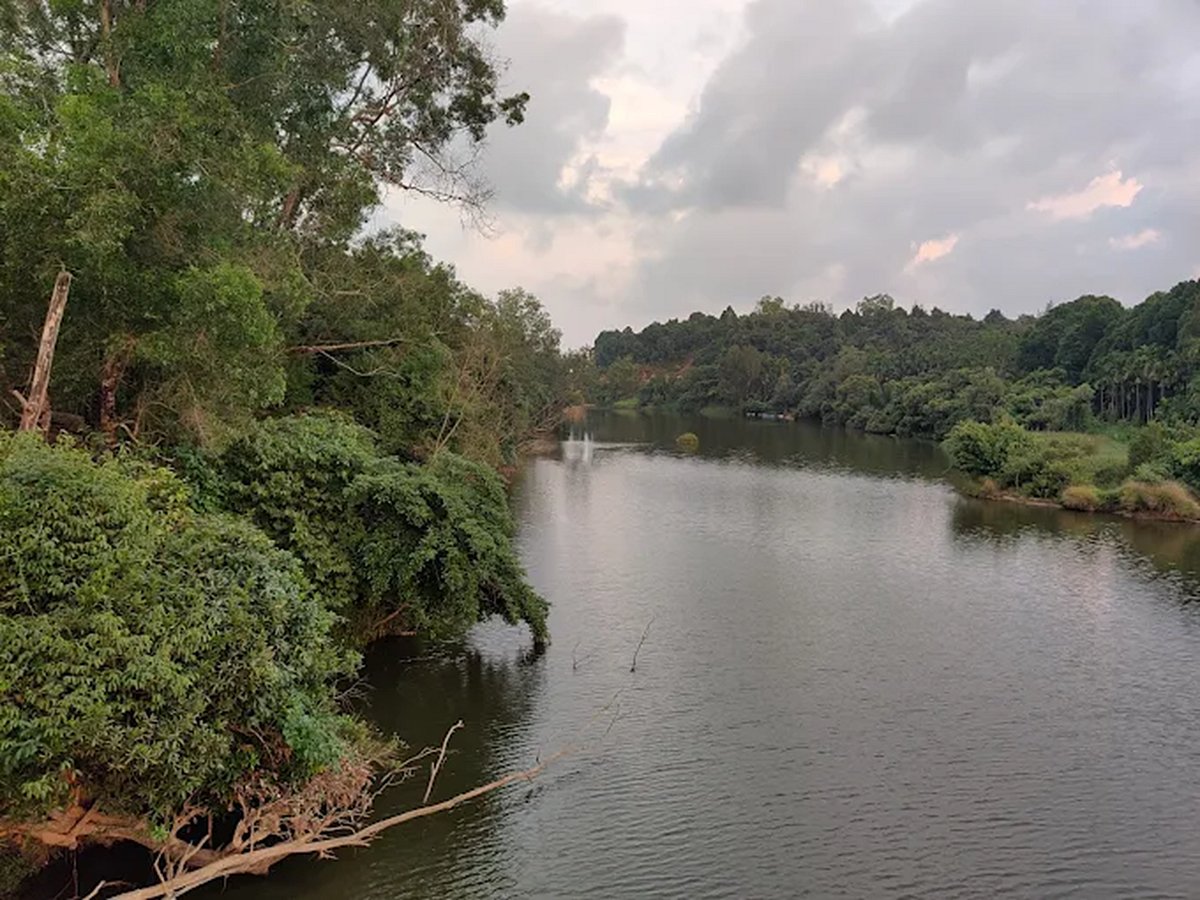 ಹತ್ತಿರವಿದ್ದರೂ ಹಳ್ಳಿಗಳು ದೂರ ದೂರ: ಫಲ ನೀಡದ 50 ವರ್ಷಗಳ ಸೇತುವೆ ಬೇಡಿಕೆ ಹೋರಾಟ