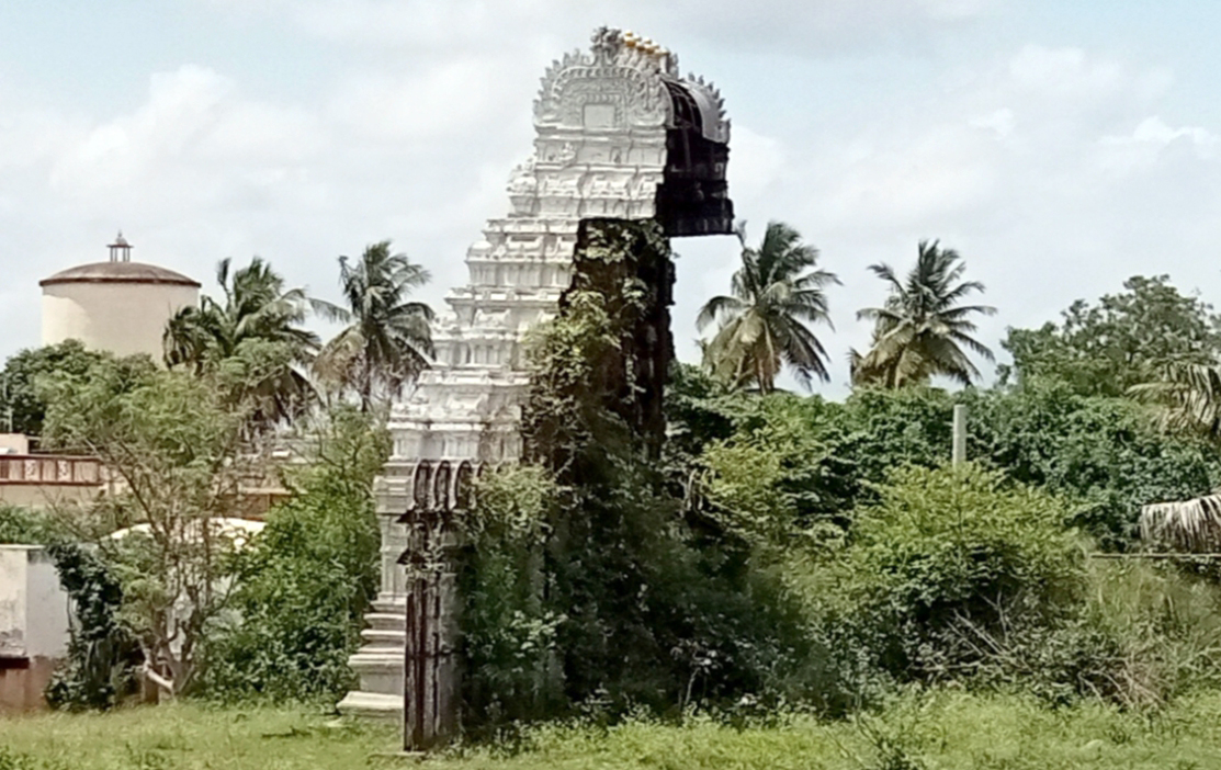 ಸ್ಮಾರಕದ ಮಾದರಿಯ ಮೇಲೆ ಮುಳ್ಳಿನ ಗಿಡಗಳು ಹಬ್ಬಿರುವುದು