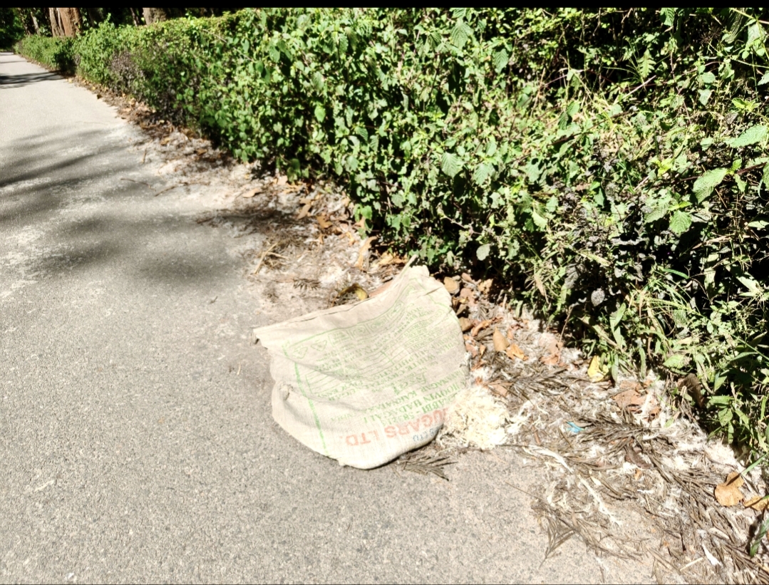 ಆಲ್ದೂರು ಪಂಚಾಯಿತಿ ವ್ಯಾಪ್ತಿಯ ಹೊಸಳ್ಳಿ–ಯಲಗುಡಿ ರಸ್ತೆ ಬದಿಯಲ್ಲಿ ಮೂಟೆಗಳಲ್ಲಿ ಸುರಿದಿರುವ ಕೋಳಿ ಕಸ 