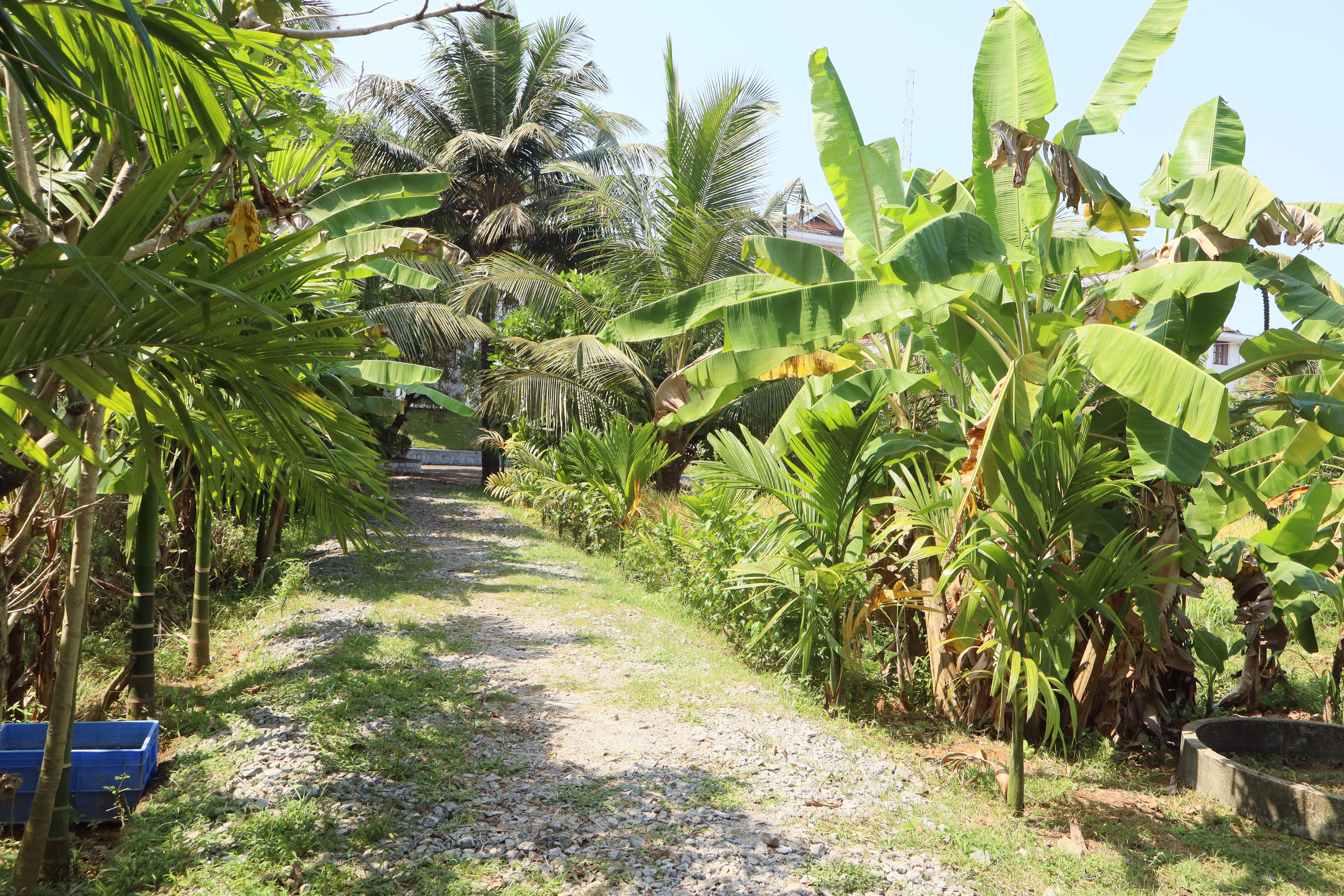 ಕರಾವಳಿ ಕಾವಲು ಪೊಲೀಸ್‌ ಕಚೇರಿ ಆವರಣದಲ್ಲಿ ನಳನಳಿಸುವ ತೋಟ