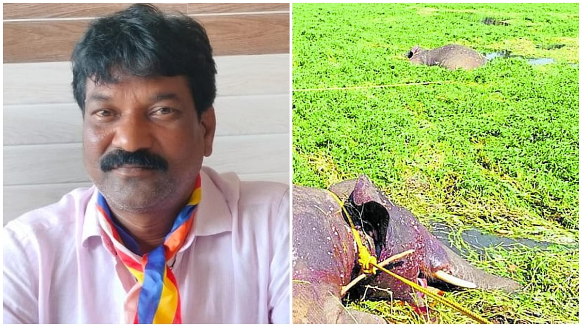 ಕಾಡಾನೆ ಸಾವಿಗೆ ಅಧಿಕಾರಿಗಳ ನಿರ್ಲಕ್ಷ್ಯ ಕಾರಣ: ಮಲ್ಲಿಕಾರ್ಜುನ