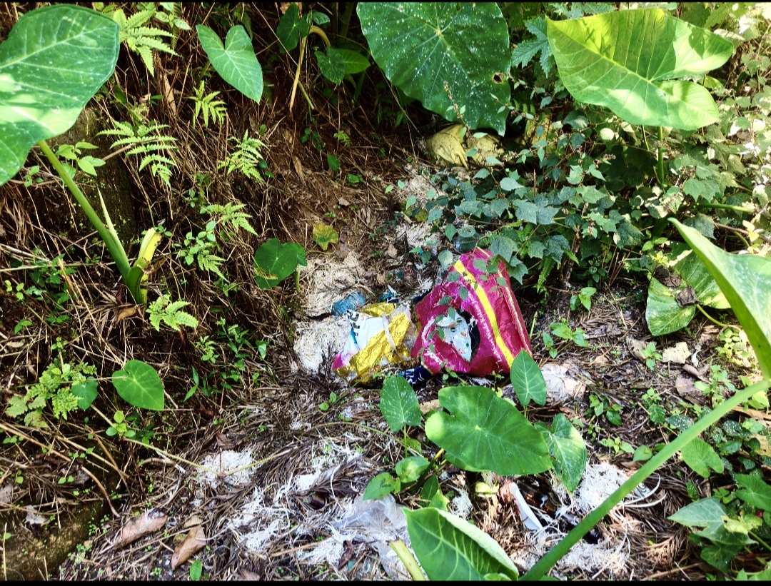 ಆಲ್ದೂರು ಪಂಚಾಯಿತಿ ವ್ಯಾಪ್ತಿಯ ಹೊಸಳ್ಳಿ–ಯಲಗುಡಿ ರಸ್ತೆ ಬದಿಯಲ್ಲಿ ಮೂಟೆಗಳಲ್ಲಿ ಸುರಿದಿರುವ ಕೋಳಿ ಕಸ 