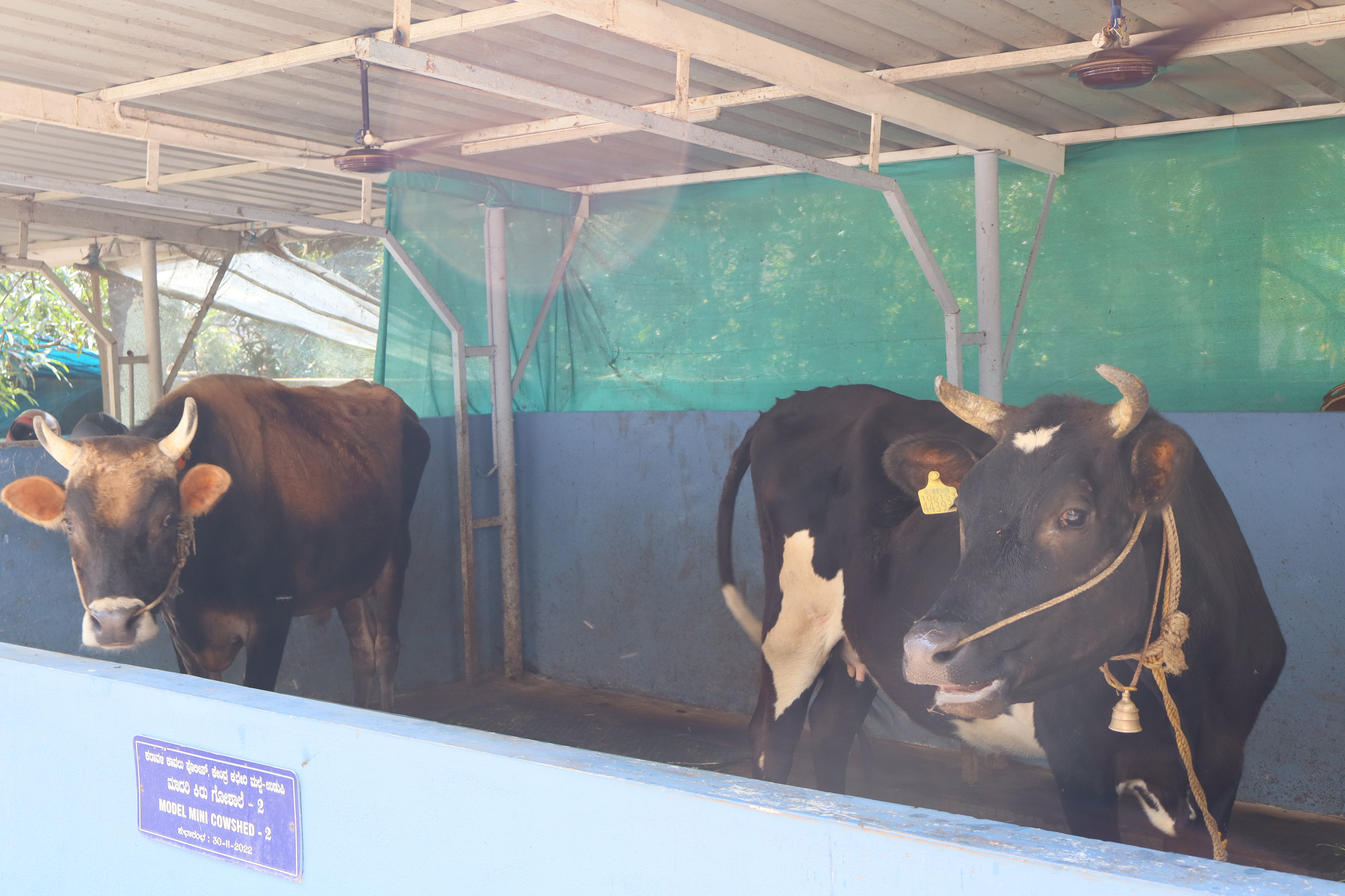 ದನದ ಕೊಟ್ಟಿಗೆ