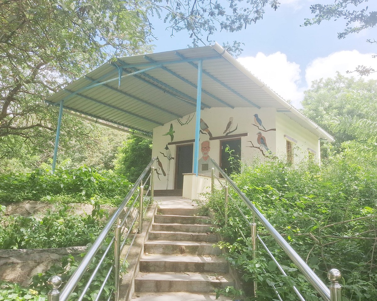 ತುಮಕೂರು: ಗೆದ್ದಲು ಹಿಡಿದ ‘ಸಲೀಂ ಅಲಿ’ ಮಾಹಿತಿ ಕೇಂದ್ರ