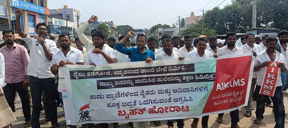 ಹುಲಿ ಹಾವಳಿ ತಡೆಗೆ ಒತ್ತಾಯ: ಅಖಿಲ ಭಾರತ ರೈತ ಕೃಷಿ ಕಾರ್ಮಿಕರ ಸಂಘಟನೆಯಿಂದ ಧರಣಿ