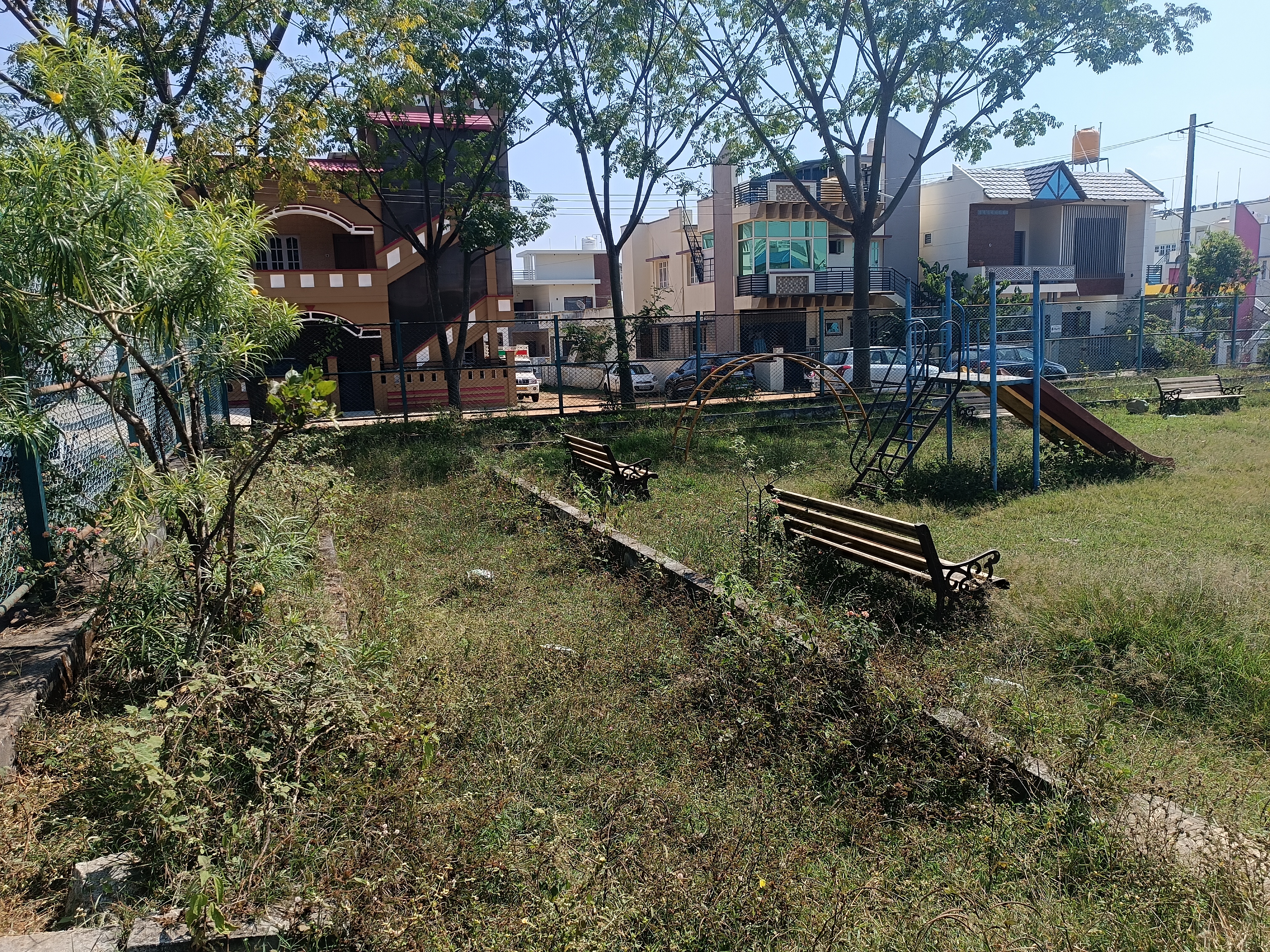 ಬಸವೇಶ್ವರ ಉದ್ಯಾನದಲ್ಲಿ ಕುಳಿತುಕೊಳ್ಳುವ ಆಸನಗಳ ಮೇಲೂ ಗಿಡಗಳ ಬೆಳೆದಿರುವುದು 