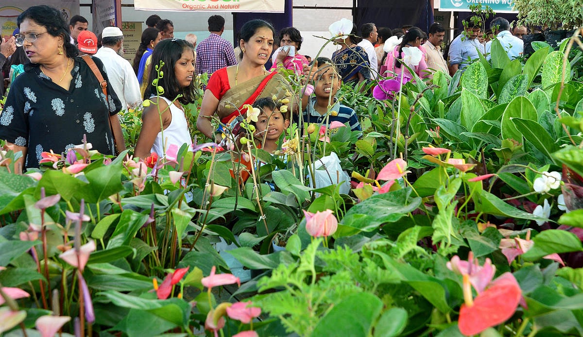 ನವೆಂಬರ್‌ 13 – 16: ಜಿಕೆವಿಕೆ ಆವರಣದಲ್ಲಿ ಇಂದಿನಿಂದ ಕೃಷಿ ಮೇಳ