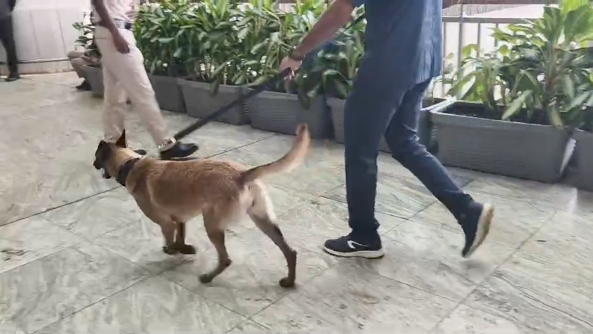 ವಿಮಾನ ನಿಲ್ದಾಣದಲ್ಲಿರುವ ಟರ್ಮಿನಲ್‌ಗಳಲ್ಲಿ ಶ್ವಾನ ದಳದ ಮೂಲಕ ತಪಾಸಣೆ ನಡೆಸುತ್ತಿರುವುದು.