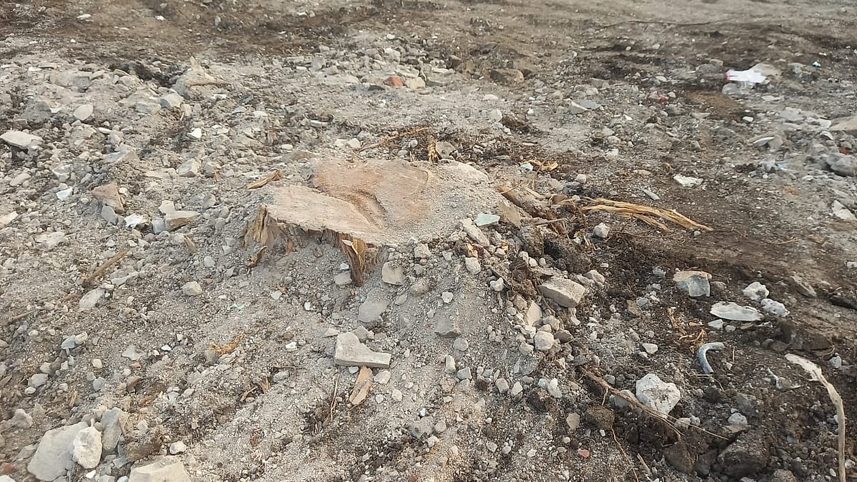 ಕಮಲಾಪುರ ಆರೋಗ್ಯ ಕೇಂದ್ರದಲ್ಲಿ ಅಕ್ರಮವಾಗಿ ಮರಗಳ ಕಟಾವು: ಆಕ್ರೋಶ