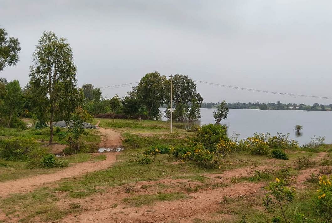 ಯಲಬುರ್ಗಾ: ಒತ್ತುವರಿಯಿಂದ ಕಿರಿದಾಗುತ್ತಿರುವ ತಲ್ಲೂರು ಕೆರೆ! 