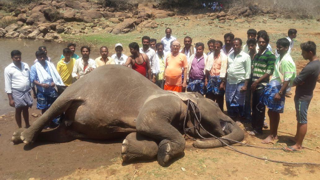 ಕನಕಪುರ ತಾಲ್ಲೂಕಿನ ಚೀಲಂದವಾಡಿ ಅರಣ್ಯ ಪ್ರದೇಶದ ಶೆಟ್ಟಿ ಕೆರೆಯಲ್ಲಿ ಮೃತಪಟ್ಟಿರುವ ಆನೆಯನ್ನು ಸಾರ್ವಜನಿಕರು ನೋಡುತ್ತಿರುವುದು