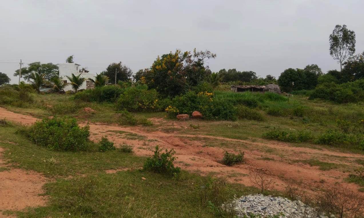 ಯಲಬುರ್ಗಾ ತಾಲ್ಲೂಕು ತಲ್ಲೂರು ಕೆರೆಗೆ ಸೇರಿದ ಜಮೀನಿನಲ್ಲಿ ರೈತರೊಬ್ಬರು ಮನೆ ಕಟ್ಟಿಕೊಂಡಿರುವುದು ಮತ್ತು ಬೆಳೆ ಬೆಳೆದಿರುವುದು