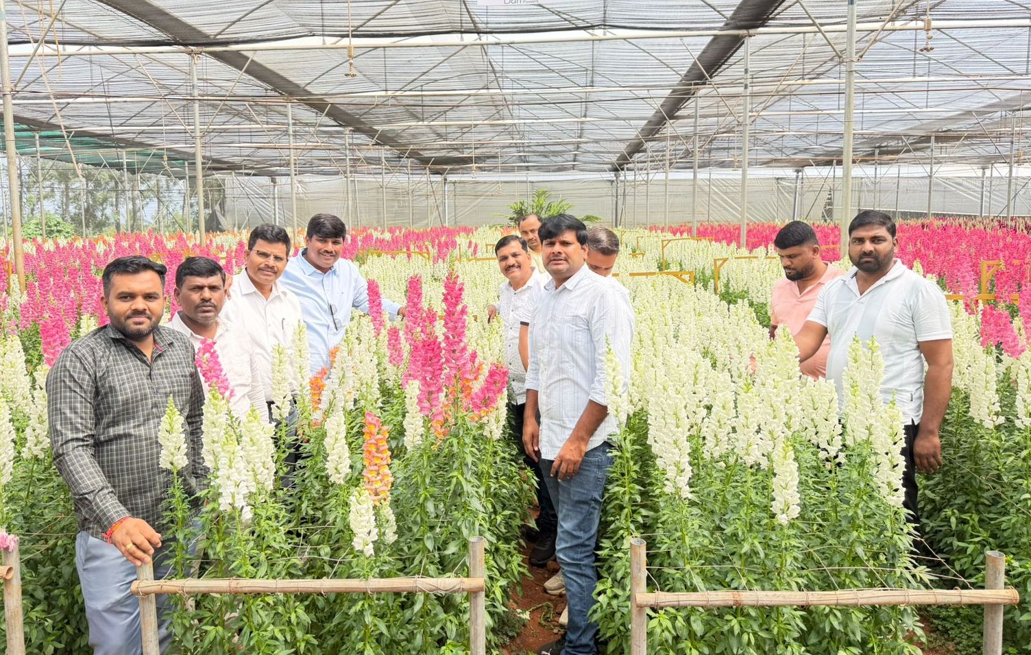 ಶ್ರೀಕಾಂತ್‌ ಅವರ ತೋಟಕ್ಕೆ ಭೇಟಿ ನೀಡಿರುವ ಭಾರತದ ವಿವಿಧ ರಾಜ್ಯಗಳ ಹೂವು ಬೆಳೆಗಾರ ರೈತರು