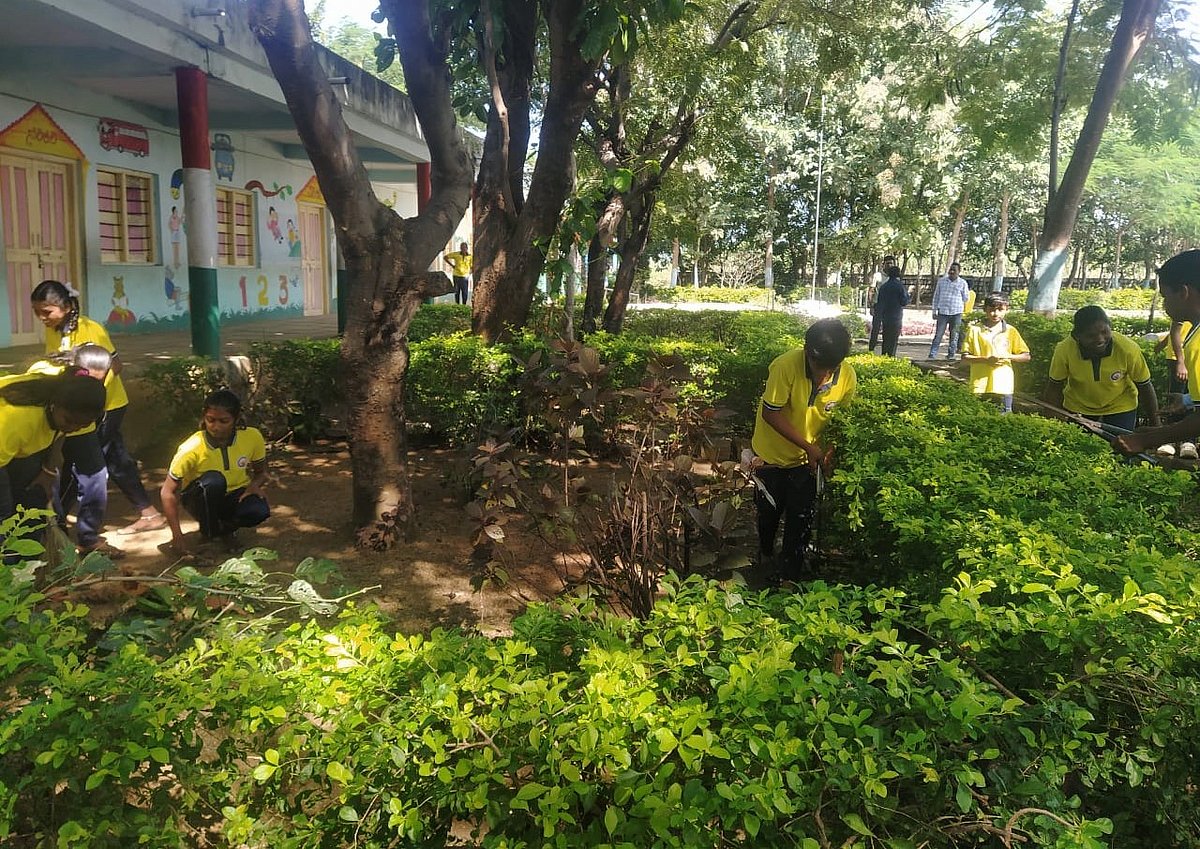 ಮಂಗಲಗಿ ಸರ್ಕಾರಿ ಶಾಲೆ ಹಸಿರುಮಯ: ಮಕ್ಕಳಿಂದಲೇ ಆಕರ್ಷಣೀಯ ಶಾಲಾವನ ನಿರ್ಮಾಣ