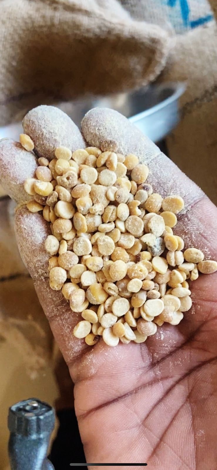 ಪುಡಿ ಪುಡಿಯಾಗಿ ದೂಳಿನಂತಾಗಿರುವ ಬೇಳೆ