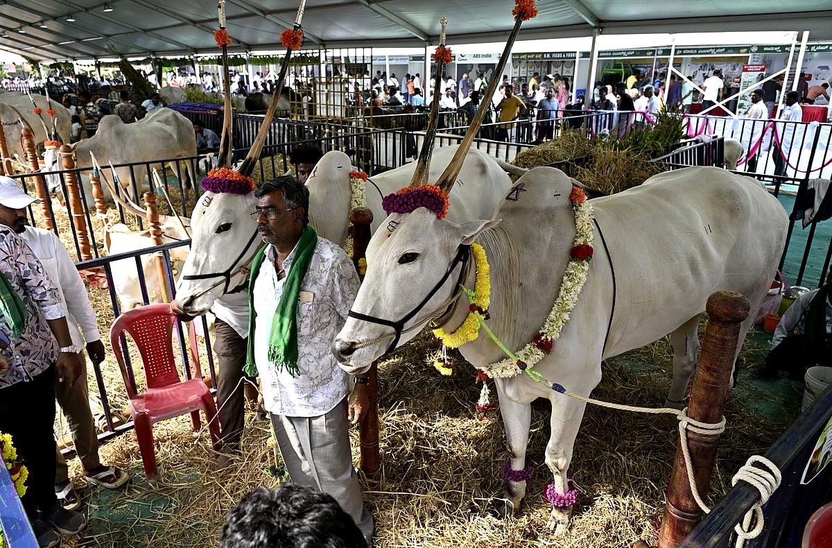 Krishi Mela 2025: ಕೃಷಿ ಮೇಳಕ್ಕೆ ರೈತರು, ವಿದ್ಯಾರ್ಥಿಗಳ ದಂಡು