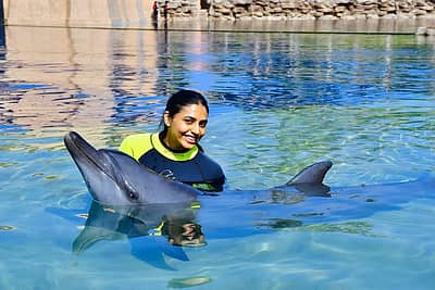 ನಟಿ ಸಪ್ತಮಿ ಗೌಡ ಅವರು ಡಾಲಿ ಧನಂಜಯ್ ಅಭಿನಯದ ‘ಪಾಪ್​​ಕಾರ್ನ್ ಮಂಕಿ ಟೈಗರ್’ ಸಿನಿಮಾದ ಮೂಲಕ ಕನ್ನಡ ಚಿತ್ರರಂಗಕ್ಕೆ ಪಾದರ್ಪಣೆ ಮಾಡಿದರು.