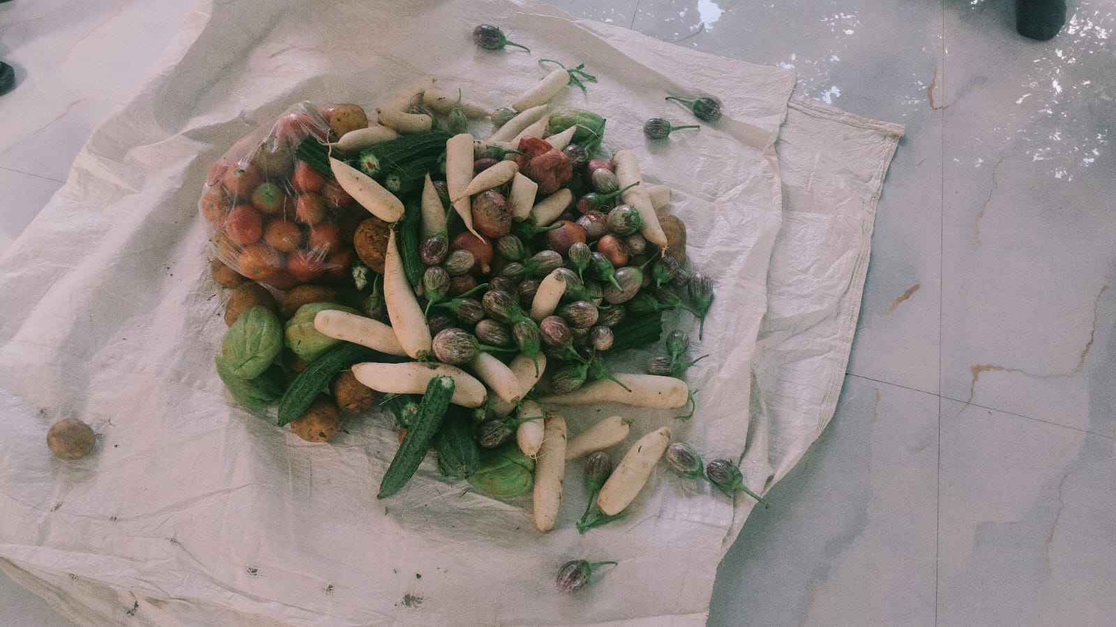 484 ವಿದ್ಯಾರ್ಥಿಗಳಿಗೆ 5 ಕೆ ಜಿ ತರಕಾರಿ