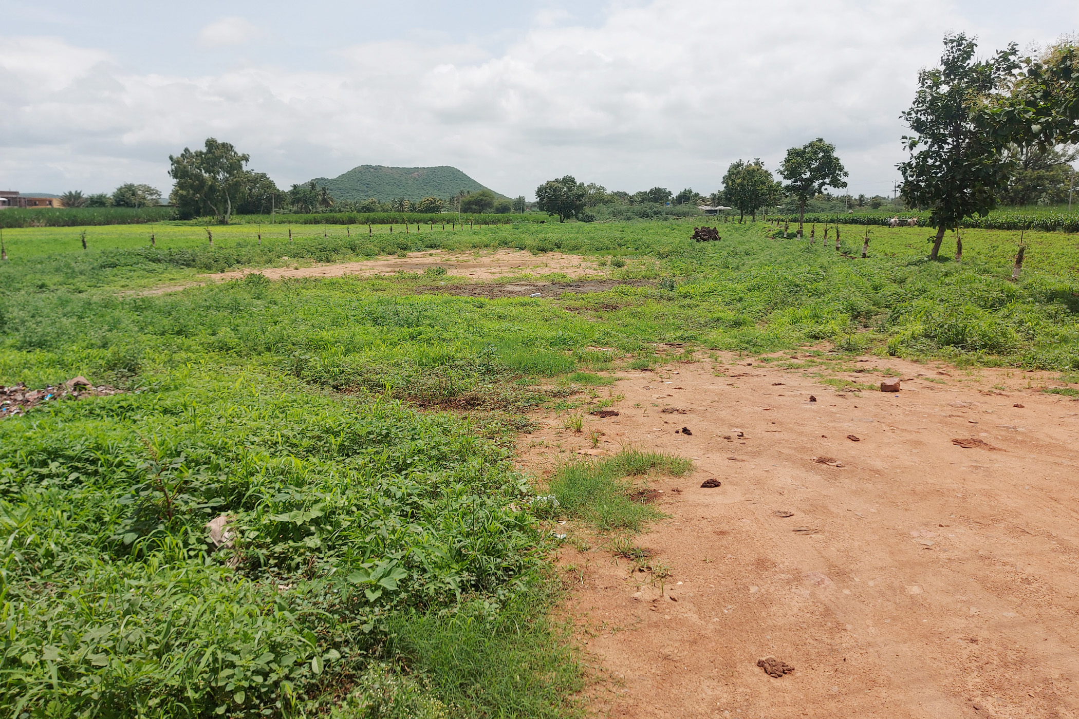 ಪಟ್ಟದಕಲ್ಲಿನಲ್ಲಿ ವಾಹನಗಳ ನಿಲುಗಡೆಗೆ ಮೀಸಲಾಗಿರಿಸಿದ್ದ ನಿವೇಶನದಲ್ಲಿ ಮುಳ್ಳುಕಂಟಿ ಕಸ ಕಟ್ಟಿ ಬೆಳೆದಿದೆ.
