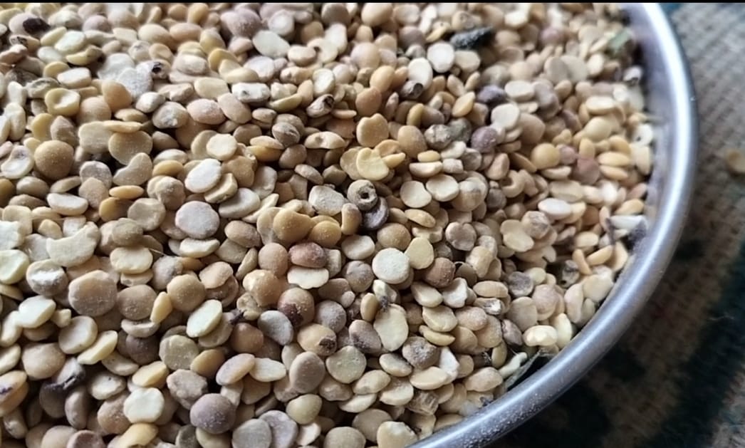 ಬೇಳೆಯಲ್ಲಿ ಹುಳುಗಳು