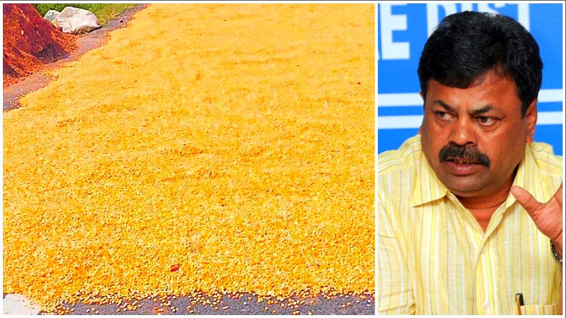 ಮೆಕ್ಕೆಜೋಳಕ್ಕೆ ₹3,000 MSP ಬೇಕು, ಇಲ್ಲವೆ ಕಬ್ಬು ಬೆಳೆಗಾರರ ರೀತಿ ಹೋರಾಟ: MPR