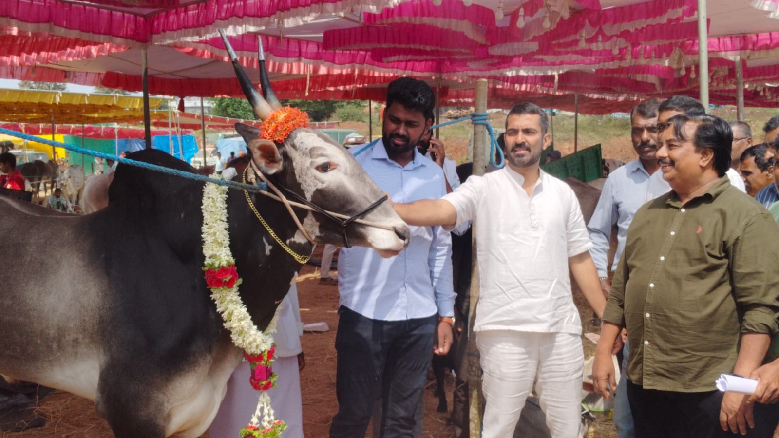 ಎತ್ತನ್ನು ವೀಕ್ಷಿಸಿದ ಶಾಸಕ ಡಾ.ಮಂತರ್ ಗೌಡ