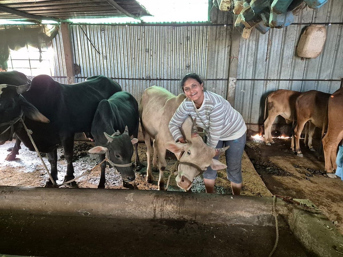 Dairy Farming|ಡಾ.ದಾಕ್ಷಾಯಿಣಿ ರಾಮನಗೌಡರ: ವೈದ್ಯ ವೃತ್ತಿಯಿಂದ ಹೈನುಗಾರಿಕೆಯತ್ತ