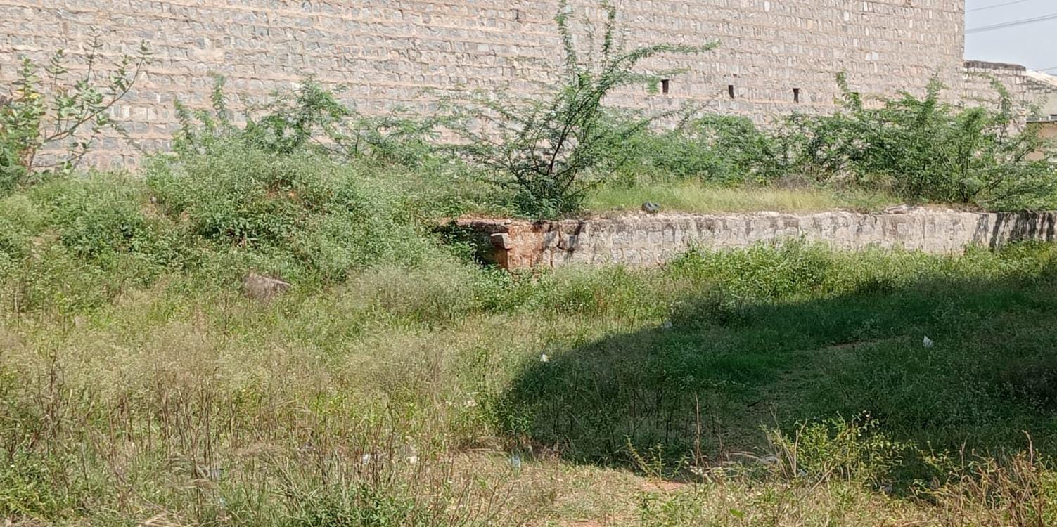 ಕುಕನೂರಿನ ಎಪಿಎಂಸಿ ಆವರಣದಲ್ಲಿ ಬೆಳೆದಿರುವ ಮುಳ್ಳುಕಂಟಿ ಗಿಡಗಳನ್ನು ಸ್ವಚ್ಛಗೊಳಿಸದಿರುವುದು