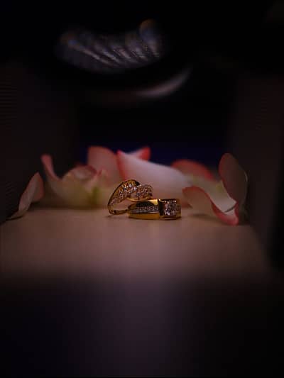 'ವೆಂಕಟೇಶ್ವರ ಮಹಿಮೆ' ಧಾರಾವಾಹಿಯ ಮೂಲಕ ಕಿರುತೆರೆಗೆ ಪಾದಾರ್ಪಣೆ ಮಾಡಿದ್ದರು ಎನ್ನಲಾಗಿದೆ. 