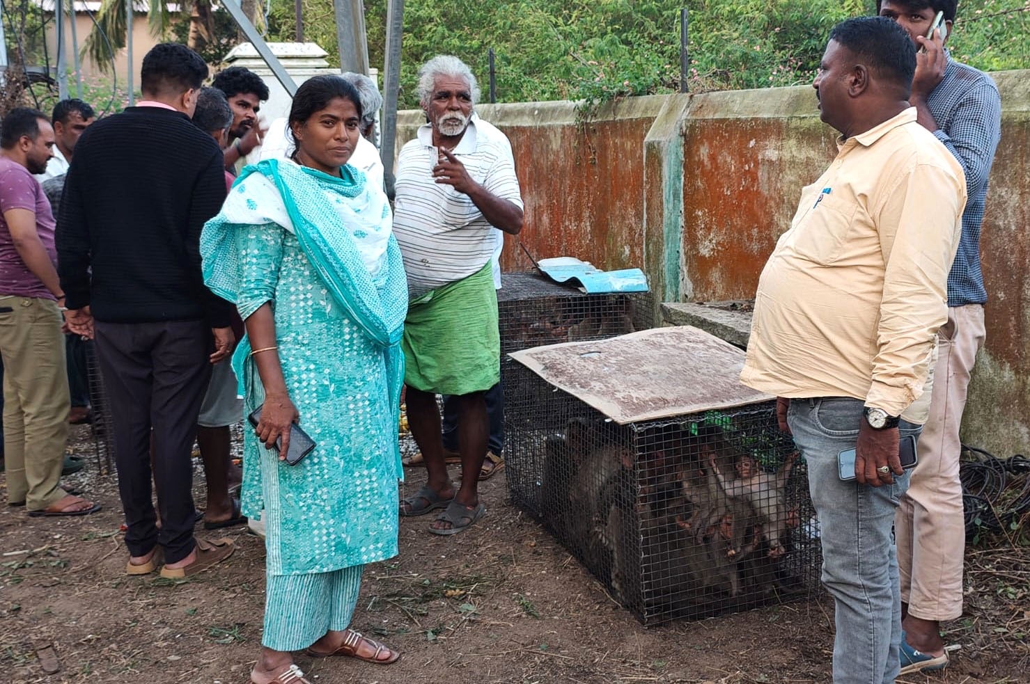 ಮೇಲುಕೋಟೆಯಲ್ಲಿ ಕೋತಿಗಳನ್ನು ಹಿಡಿದು ಅಭಯಾರಣ್ಯಕ್ಕೆ ಬಿಡುವ ಕಾಯರ್ಾಚರಣೆ ಆರಂಭಿಸಲಾಯಿತು ದೇವಾಲಯದ ಇಒ ಶೀಲಾ ಗ್ರಾ.ಪಂ ಪಿಡಿಒ ರಾಜೇಶ್ವರ್ ಇದ್ದಾರೆ.