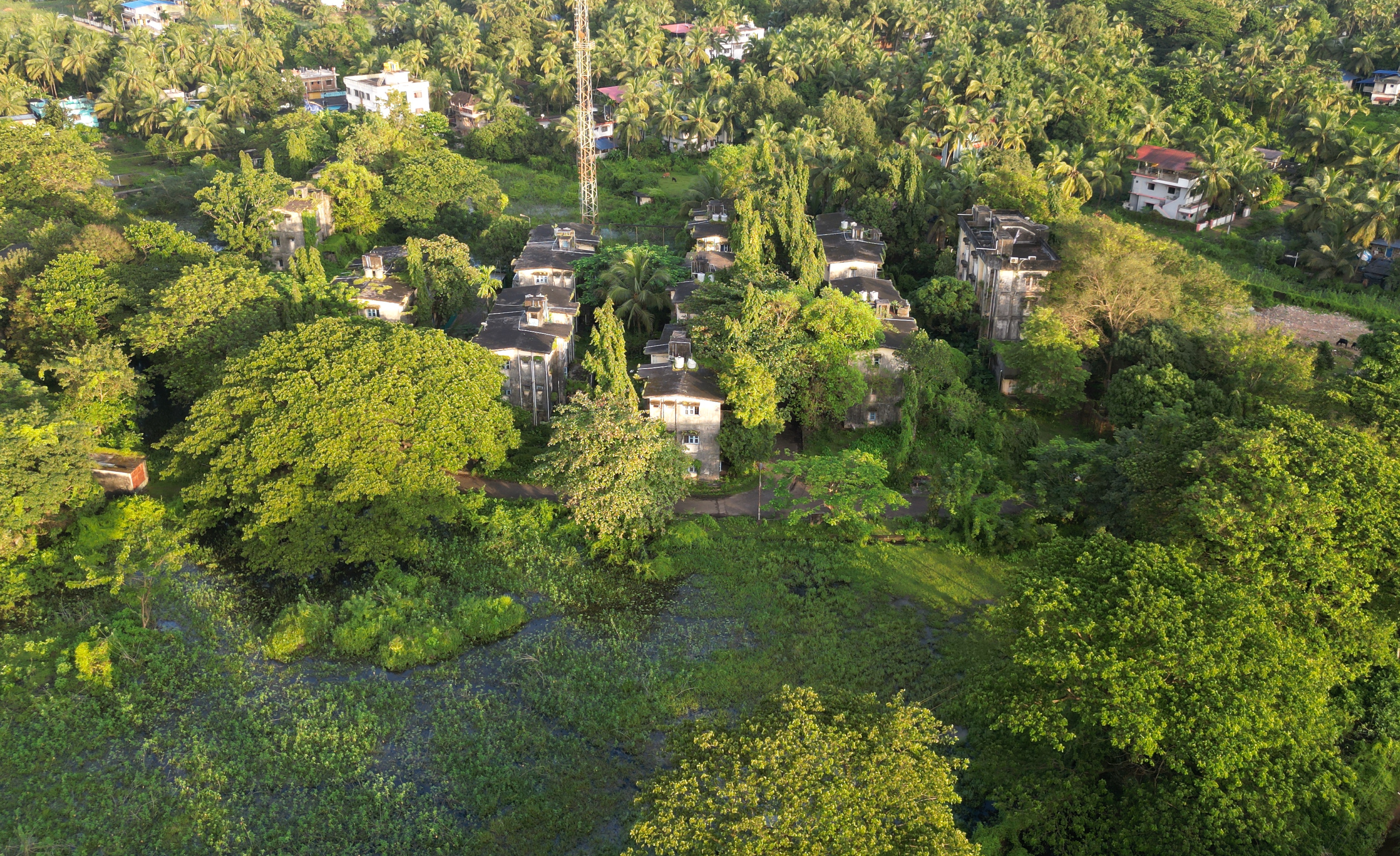ಕಾರವಾರದ ಸೋನಾರವಾಡಾದಲ್ಲಿರುವ ಪಿ ಆ್ಯಂಡ್ ಟಿ ವಸತಿಗೃಹದ ಸುತ್ತ ಕಾಡಿನಂತೆ ಗಿಡಮರಗಳು ಬೆಳೆದಿದ್ದು ಎದುರಿನಲ್ಲಿ ಮಳೆನೀರು ನಿಂತು ಕೆರೆಯಂತಾಗಿರುವುದು                                                   