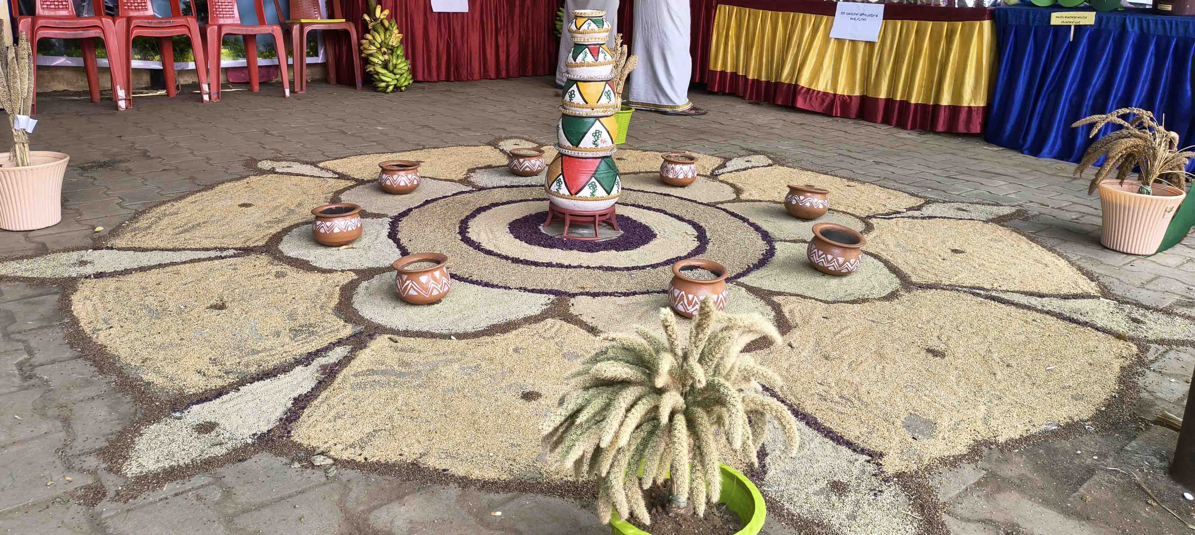 ಮೇಳದಲ್ಲಿ ಸಿರಿಧಾನ್ಯ ಬಳಸಿ ಬಿಡಿಸಿದ್ದ ಆಕರ್ಷಕ ಚಿತ್ತಾರ