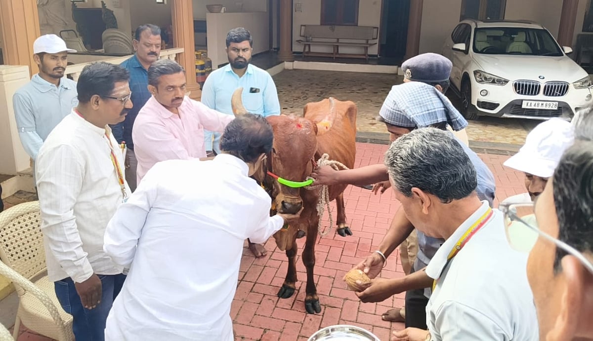 ಜಾನುವಾರುಗಳಿಗೆ ತಪ್ಪದೇ ಕಾಲುಬಾಯಿ ರೋಗ ಲಸಿಕೆ ಹಾಕಿಸಿ: ಶಾಸಕ ಜಗದೀಶ ಗುಡಗುಂಟಿ