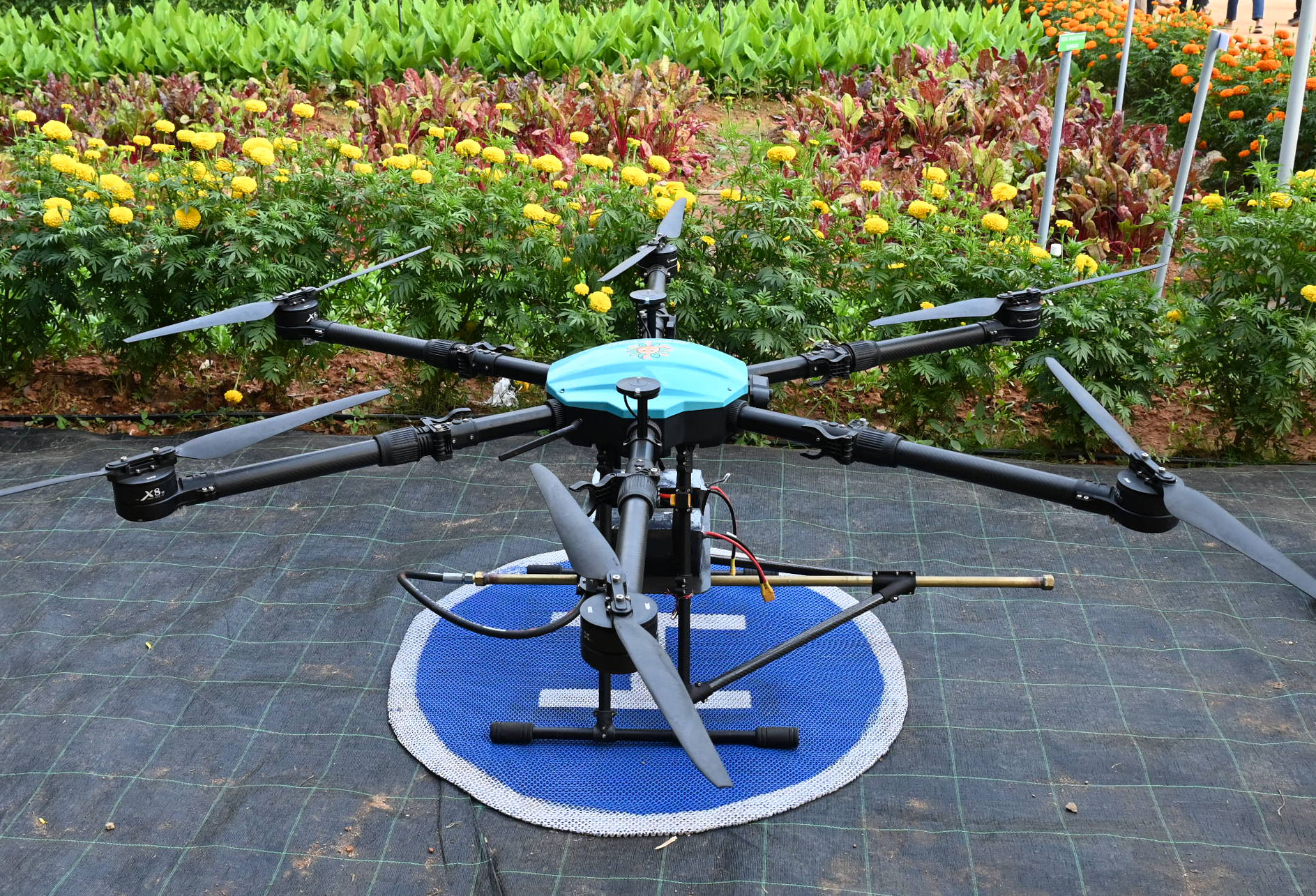 <div class="paragraphs"><p>ಪ್ರಜಾವಾಣಿ ಚಿತ್ರ: ಕಿಶೋರ್ ಕುಮಾರ್ ಬೋಳಾರ್</p></div>