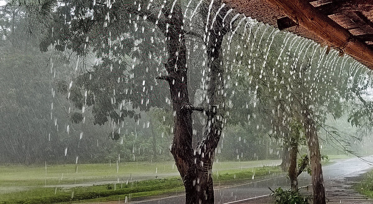 ಚಿತ್ರ-ಲೇಖನ: ಮರೆಯಲಾಗದ ಮಳೆ ಚಿತ್ರಗಳು