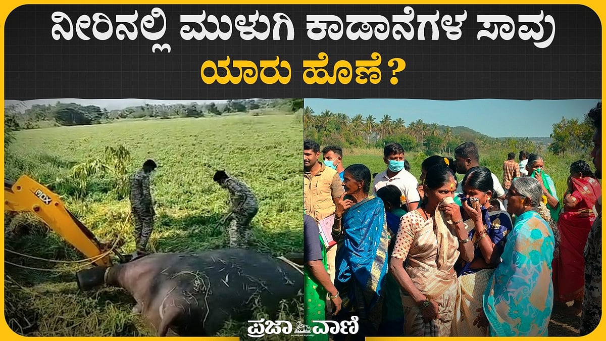 Video | ಕನಕಪುರ: ನೀರಿನಲ್ಲಿ ಮುಳುಗಿ ಕಾಡಾನೆಗಳ ಸಾವು– ಯಾರು ಹೊಣೆ?