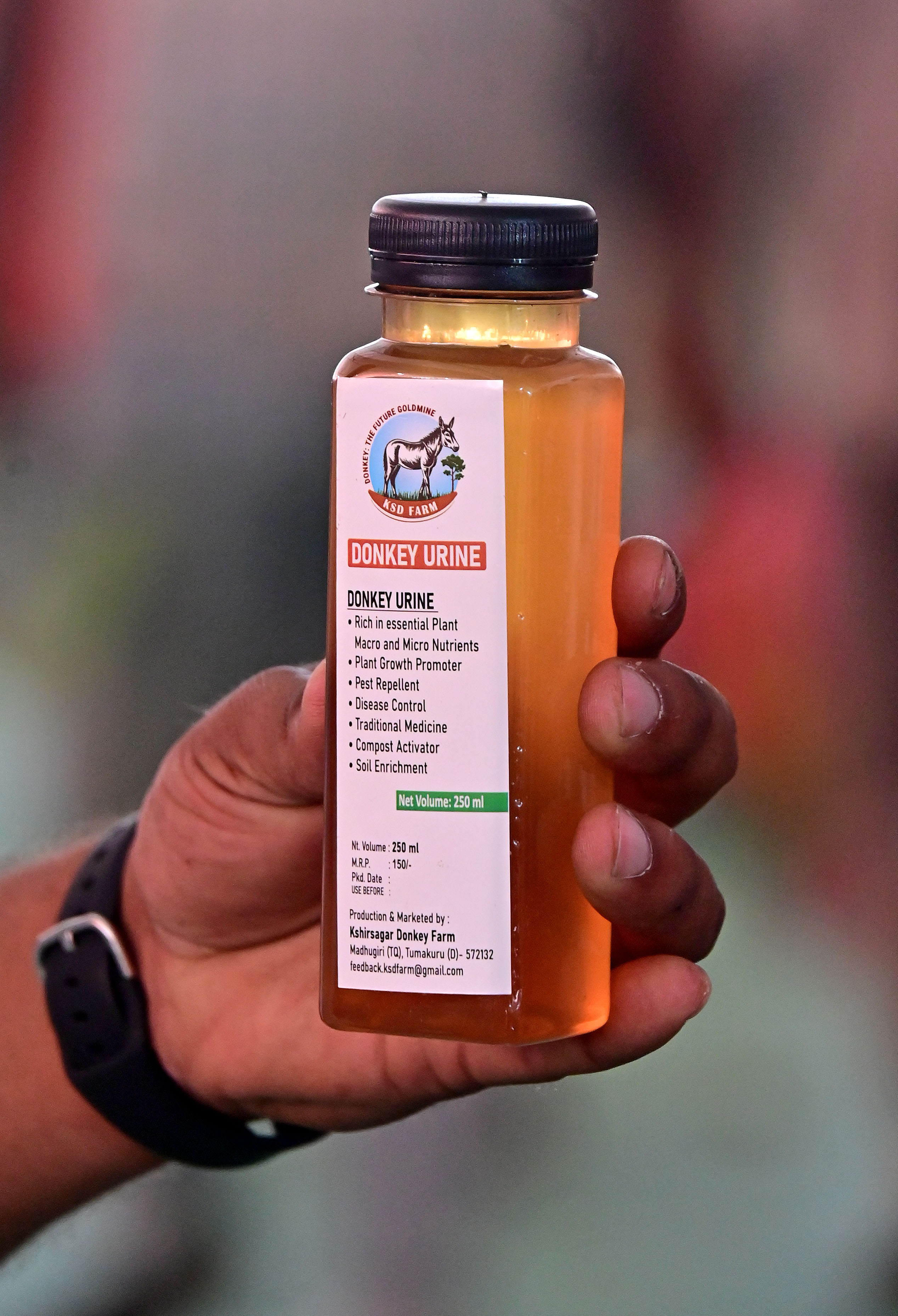 ಕತ್ತೆಯ ಗಂಜಲ