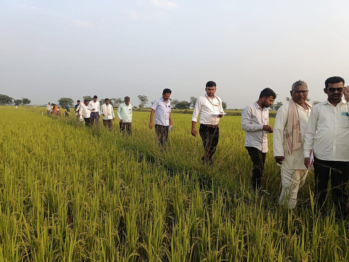 ದಾವಣಗೆರೆ: ಬೀಜ ಭಂಡಾರ ಸೇರಿದ ದೇಸಿ ತಳಿಗಳು